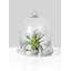 Terrarium en verre Hantsport-1324419780-1232446640