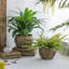 Ensemble de 2 pots de fleurs en fer vieilli, L: 13 x 13 x 14,5 po: 11 x 11 x 13,5 po