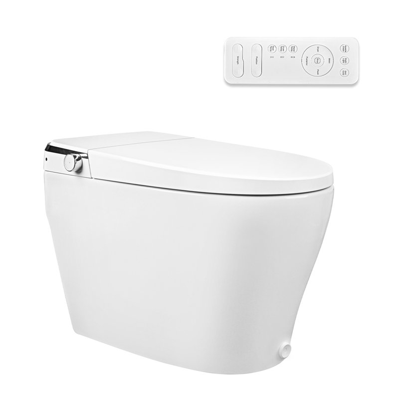 Smart Toilet with Bidet Wash Auto Sensor Flush Kick Flush Heated Seat Warm Wash(Remote Included), 10", White