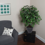 36'' Artificial Ficus Tree in Basket