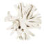 Cast Naturals Abstract Coffee Table