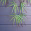 100cm Faux Foliage Plant