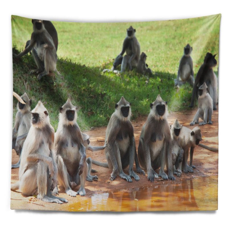 Tapisserie de singes africains en sri lanka, H 32 po x l 39 po
