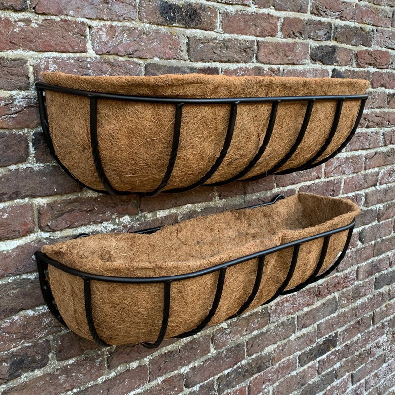 Alameen Metal Wall Planter, 20cm H x 75cm W x 20cm D
