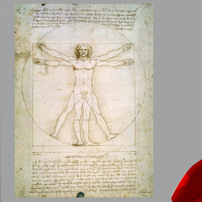 Da Vinci Non-Wall Damaging Wall Decal