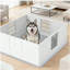 Boîte pour animal de compagnie, boîte pour chien avec coussins lavables