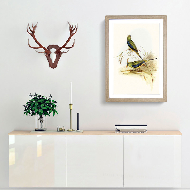 Blue Banded Grass Parakeets by Elizabeth Gould - Picture Frame Painting Print, Oak Framed, 48cm H x 36cm W x 2cm D