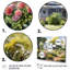 Farmhouse Frontyard Oasis I - Décoration murale de ferme-521067276-521067272