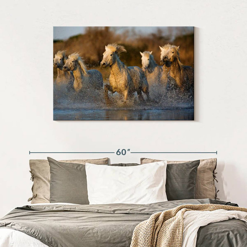 Chevaux camarguais Brampt qui courent dans l'eau, H 30 po x l 45 po