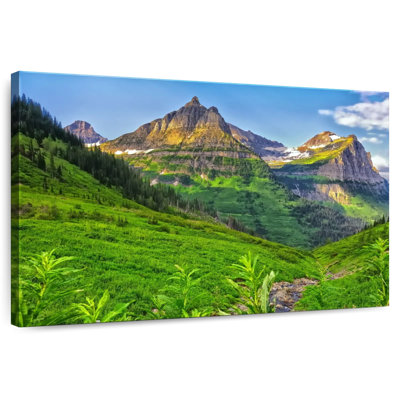 Verdure du parc glaciaire Alvord