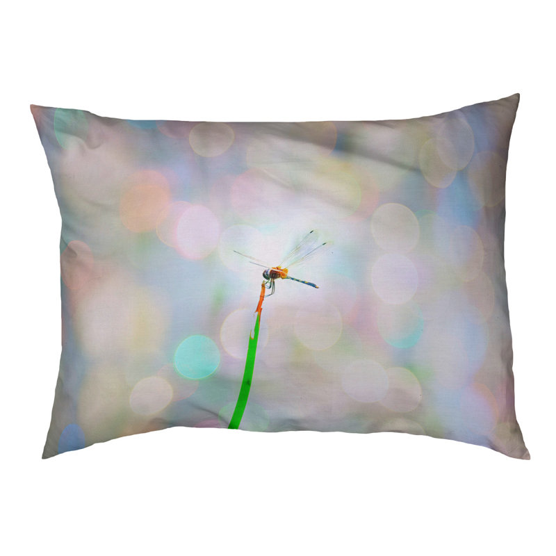 Coussin de concepteur libellule lights Burien, L 32,5 po x l 42,5 po, Noir