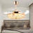 Ceiling Fan with LED Lights