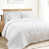 Blanc blanchi est en rupture de stock