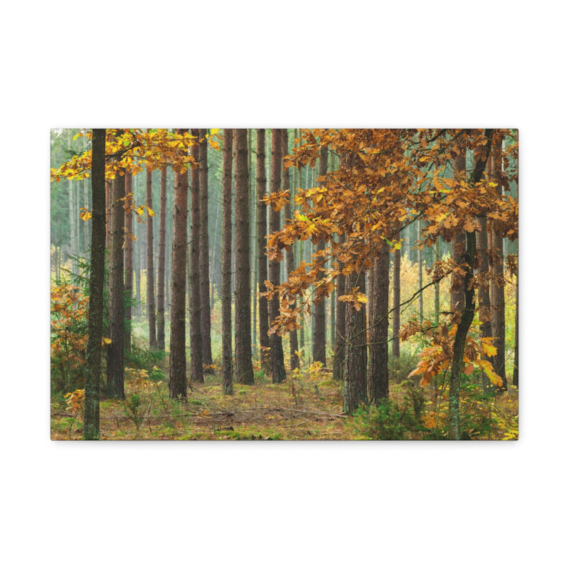 No Frame Print on Canvas, 60.96cm H x 76.2cm W
