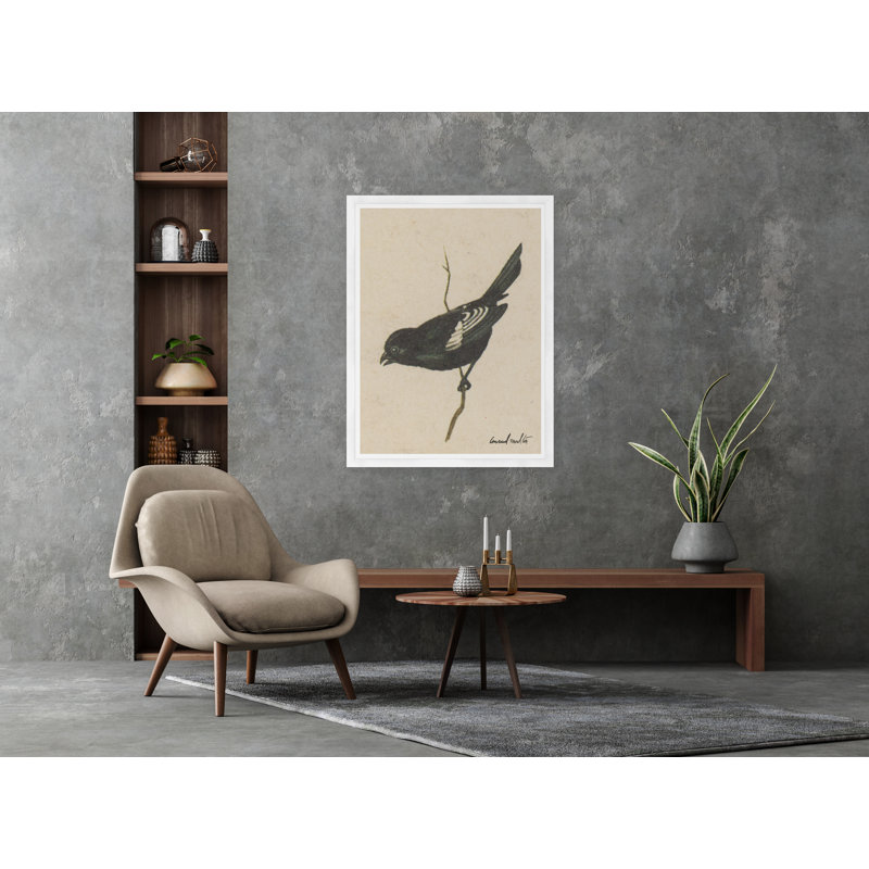 Bruant Lark
