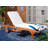 Jivera 78.70" Long Reclining Eucalyptus Single Chaise with Cushions-2103707173-2103707557