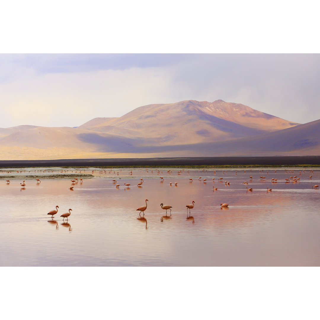 Beeindruckende Laguna Colorada