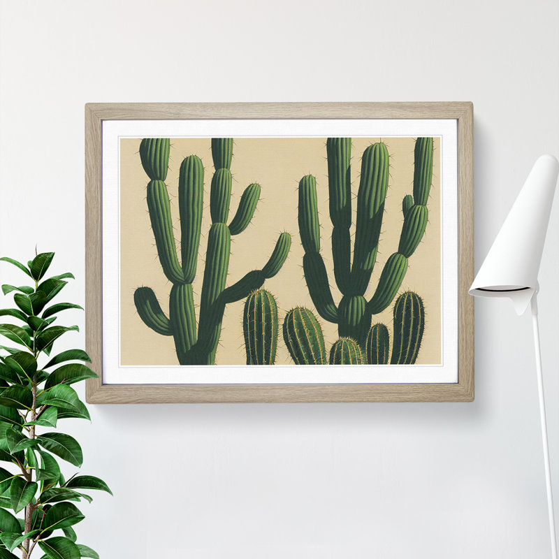 A Contemporary Cactus - Framed Print, 46cm H x 64cm W x 2cm D, Oak