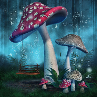 Mushrooms And A Swing - Wrapped Canvas Print