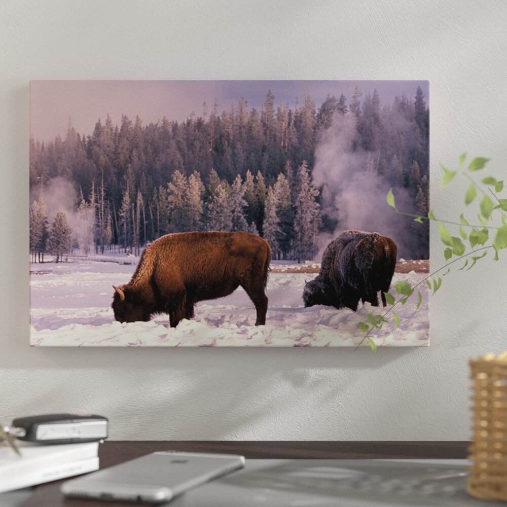 Winter Buffalo x Yellowstone Decor Wall Mural