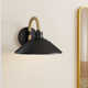 Reesie Single Light Steel Dimmable Barn Light
