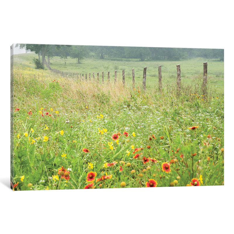 Fleurs le long d'une clôture par Karin Connolly, reproduction sur toile tendue, H 16 po x l 24 po x P 1 po, Blanc