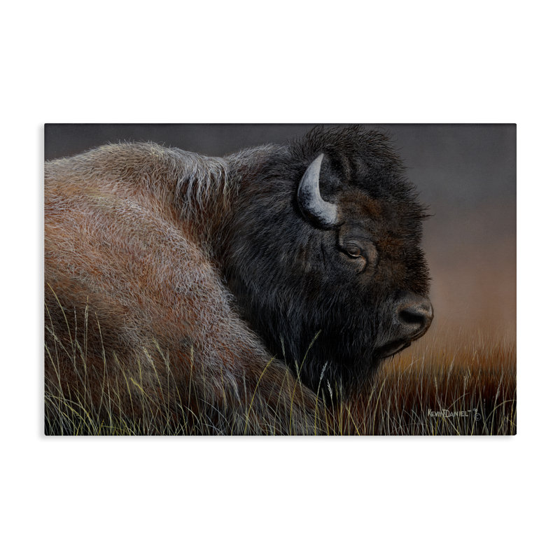 Détail d'une toile détaillée de bison par Kevin Daniel, H 20 po x l 30 po