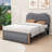Jankell Wood Upholstered Platform Bed with Trundle-943052848-943052855