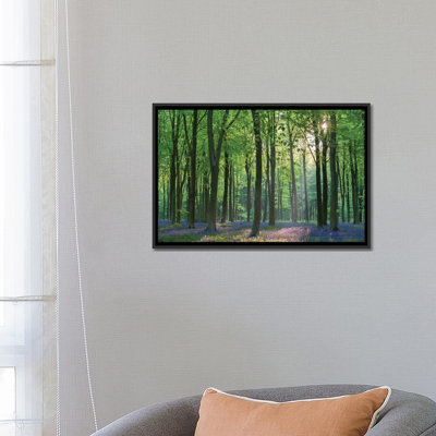 «Bluebell Forest II» par Adam Burton - reproduction de photo