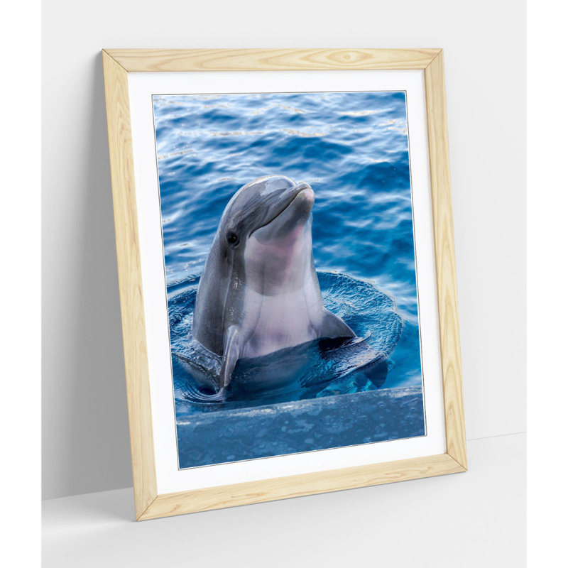 Dolphin Framed Wall Art Picture Print - A4 , 64 cm H x 47 cm W, Cream