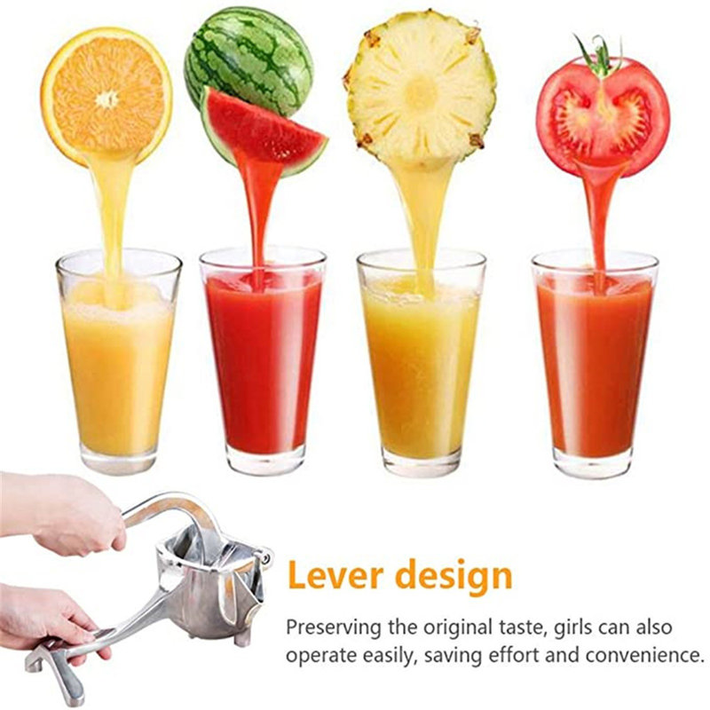 Extracteur de fruits manuel en acier inoxydable