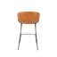 Feston Counter & Bar Stool-49384434-49384433