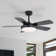 Damecia 42'' 5 Blade Modern Ceiling Fan With Light and Remote Control
