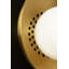 Carapace 1 - Light Pendant