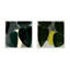 Plant Set Of 2 Painting by Studiom-1492611065-1492611067