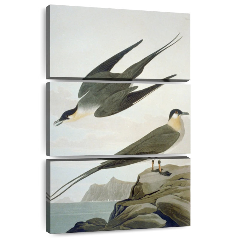 Brampt Arctic Yager, 32" H x 20" W