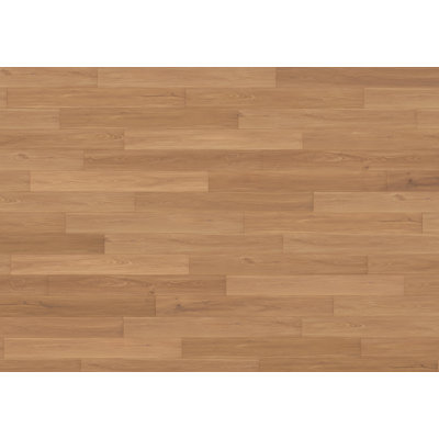 Planche en vinyle de luxe nouvelle branche ADURA®Rigid avec Microban® Noble Oak 7 po x 60 po x 5,5 mm SPC dans une branche avec couche d'usure de 20 mil