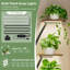 Plant Stand - Set of 8