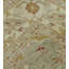 Agra Wool Oriental Area Rug in Beige