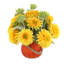 Sunflower Fall Arrangement in a Glass Pumpkin Vase