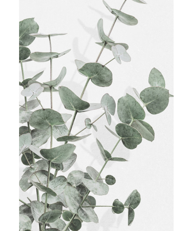Wrapped Canvas Print, 81.28cm H x 121.92cm W