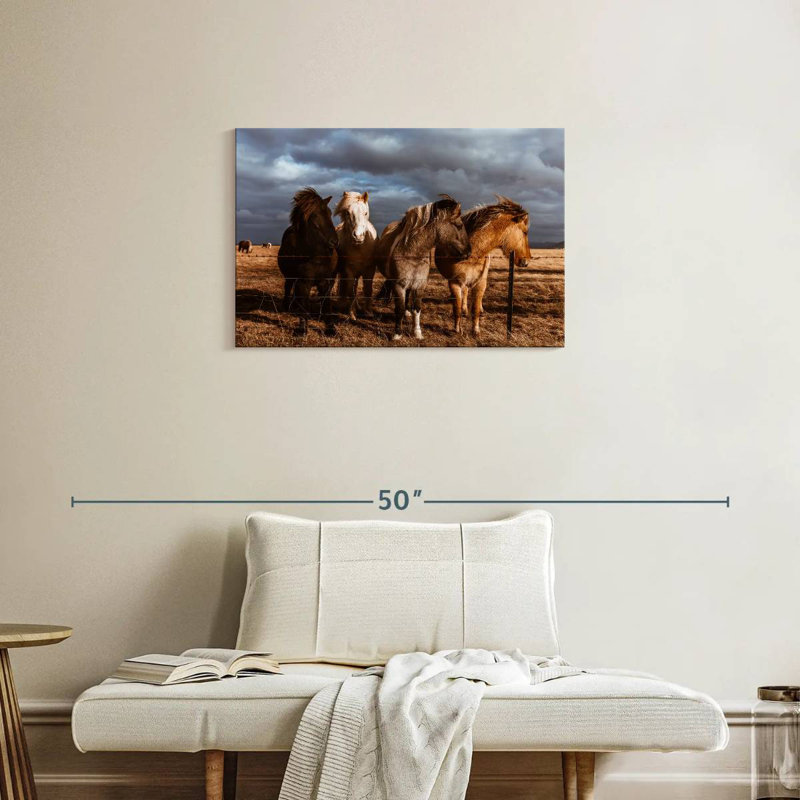 Poney Brampt Islande, H 20 po x l 30 po
