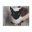 No Frame Print on Canvas-1983220023
