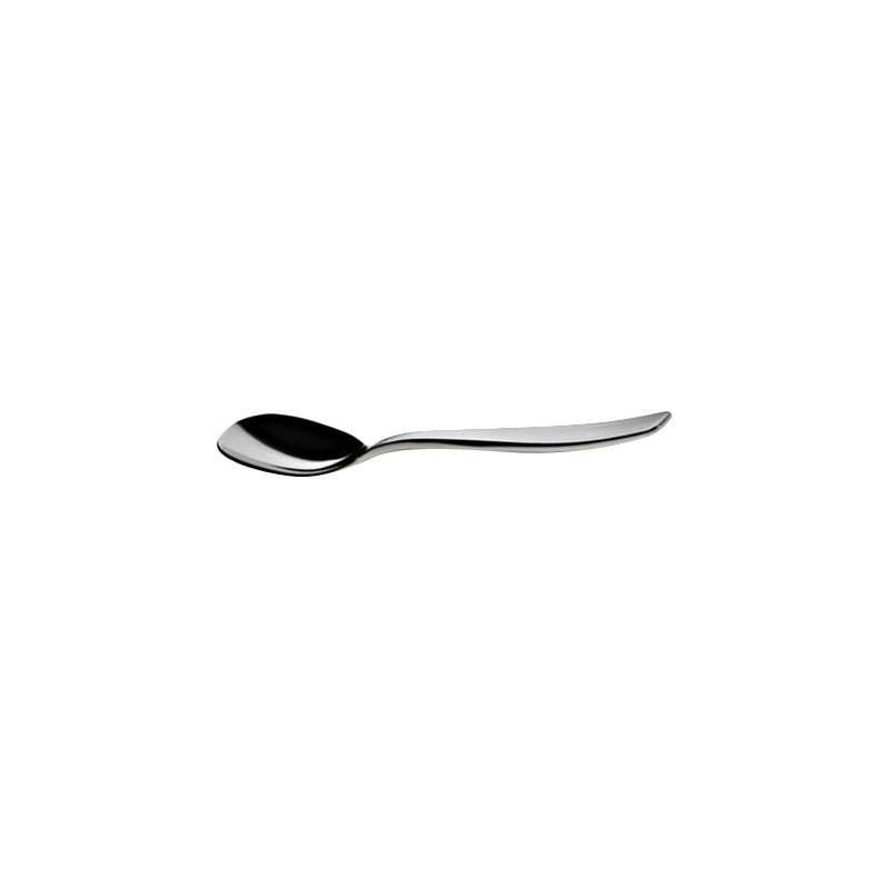 Stainless Steel Dinner Spoon, Polished