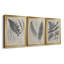«Vintage Fern Study II», ensemble de 3 reproductions d'art sur toile-2145942593-2145942621