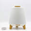 Atmos Speaker Humidifier