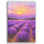 "Lavender Radiance", art mural sur toile coucher de soleil