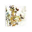 Solarium I 1 Piece Wrapped Canvas Painting-1657030807