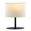 Metal Table Lamp-929623945-929623951