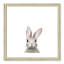 Art encadré en lapins forestières-48169568-48163432